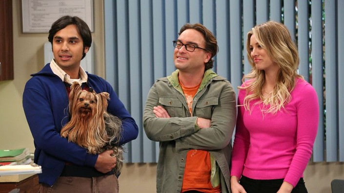 The Big Bang Theory Season 6 Episode 12 Rotten Tomatoes