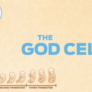 The God Cells photo 8