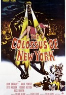 The Colossus of New York poster image