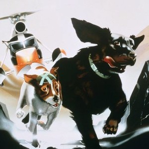 The Plague Dogs photo 9