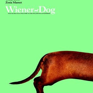 Wiener-Dog photo 2