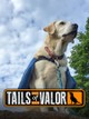 Tails of Valor