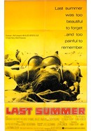 Last Summer poster image