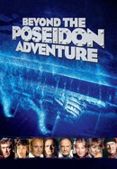 Beyond the Poseidon Adventure poster image