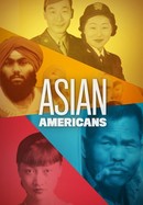 Asian Americans poster image