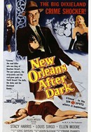 New Orleans After Dark poster image