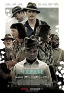Mudbound poster image