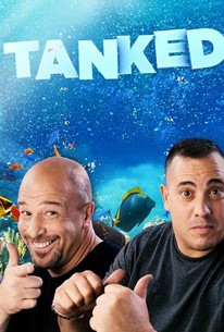 Tanked Programa Tanked: Season 13 | Rotten Tomatoes