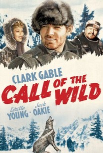 Call Of The Wild 1935 Rotten Tomatoes