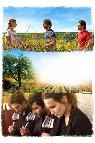 Back to Burgundy | Rotten Tomatoes