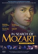 In Search of Mozart poster image