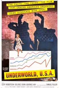 Poster for Underworld U.S.A.