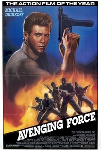 Poster for Avenging Force