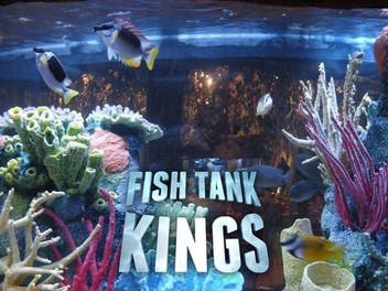 Aquarium king deals