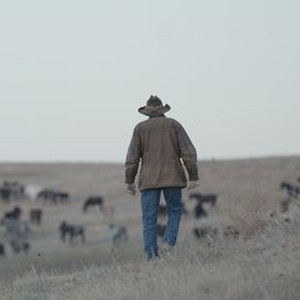 Before They Vanish - Rotten Tomatoes