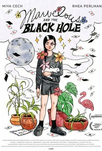 Marvelous and the Black Hole poster