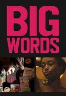 Big Words poster image