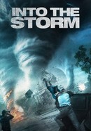 Into the Storm poster image