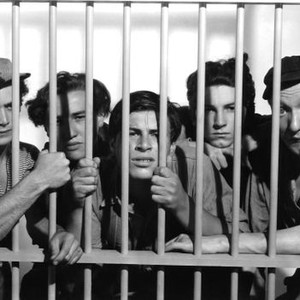 LITTLE TOUGH GUY, from left, David Gorcey,  Jackie Searl, Bernard Punsly, Gabriel Dell, Huntz Hall, 1938