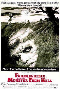 Frankenstein and the Monster From Hell poster