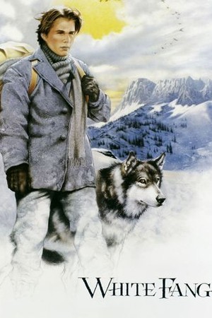 White Fang poster