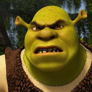 cara do shrek meme