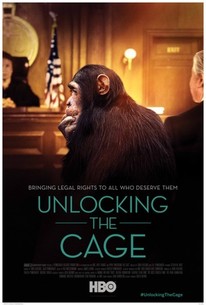 Watch trailer for Unlocking the Cage