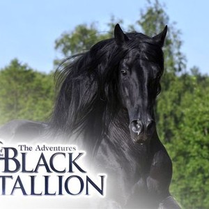 The Adventures of the Black Stallion: Season 3, Episode 26 - Rotten ...