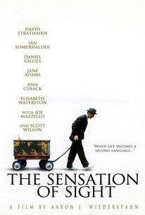 Poster for The Sensation of Sight