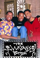 The Wayans Bros. poster image