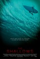 The Shallows