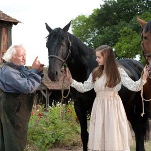 WAR HORSE, Niels Arestrup, Celine Buckens, ph: David Appleby, 2011, ©Touchstone Pictures
