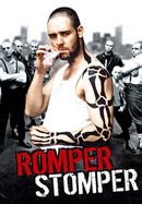 Romper Stomper poster image