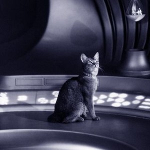 The Cat From Outer Space (1978) - Rotten Tomatoes