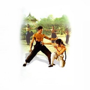 Shaolin Martial Arts photo 3