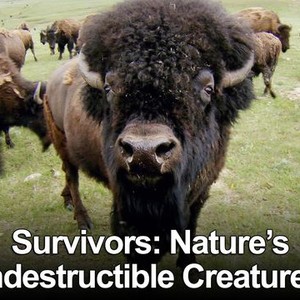 Survivors: Nature's Indestructible Creatures: Season 1, Episode 1