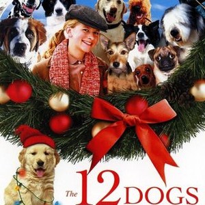 The 12 Dogs of Christmas (2005) photo 3