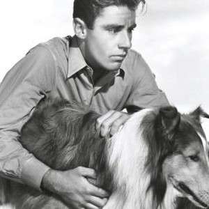 Son of Lassie (1945) photo 12