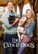 Like Cats & Dogs poster image