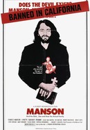 Manson poster image