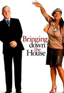 Bringing Down the House poster image