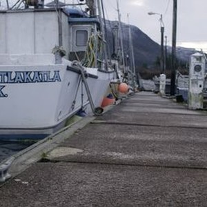 Alaskan Nets photo 2