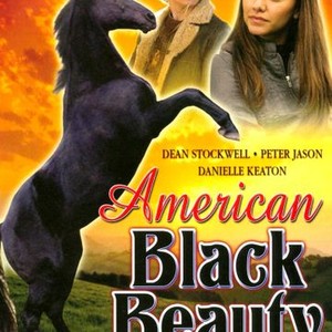 American Black Beauty photo 10