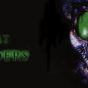 Night Feeders photo 4
