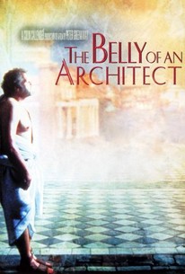 The Belly of an Architect poster