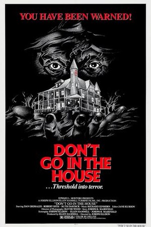 Don't Go in the House poster