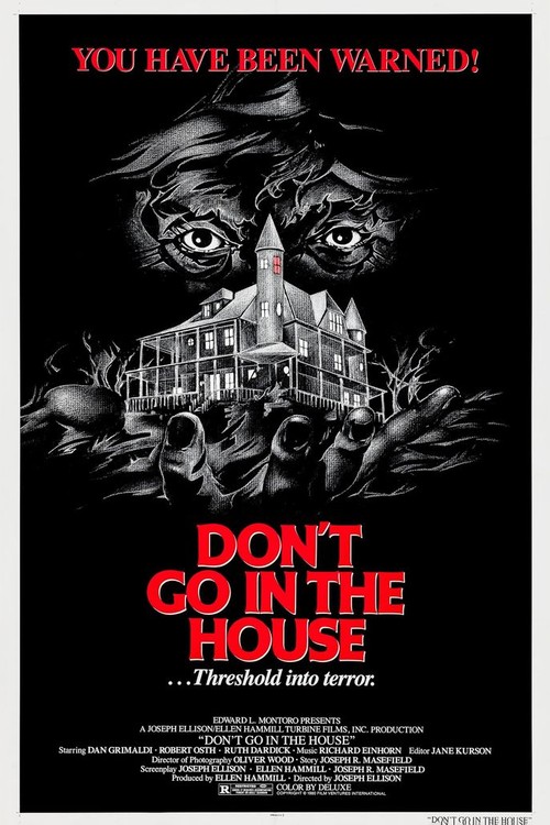 Don't Go in the House poster