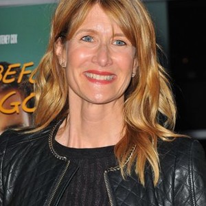 Laura Dern at arrivals for JUST BEFORE I GO Premiere, Arclight Hollywood, Los Angeles, CA April 20, 2015. Photo By: Dee Cercone/Everett Collection