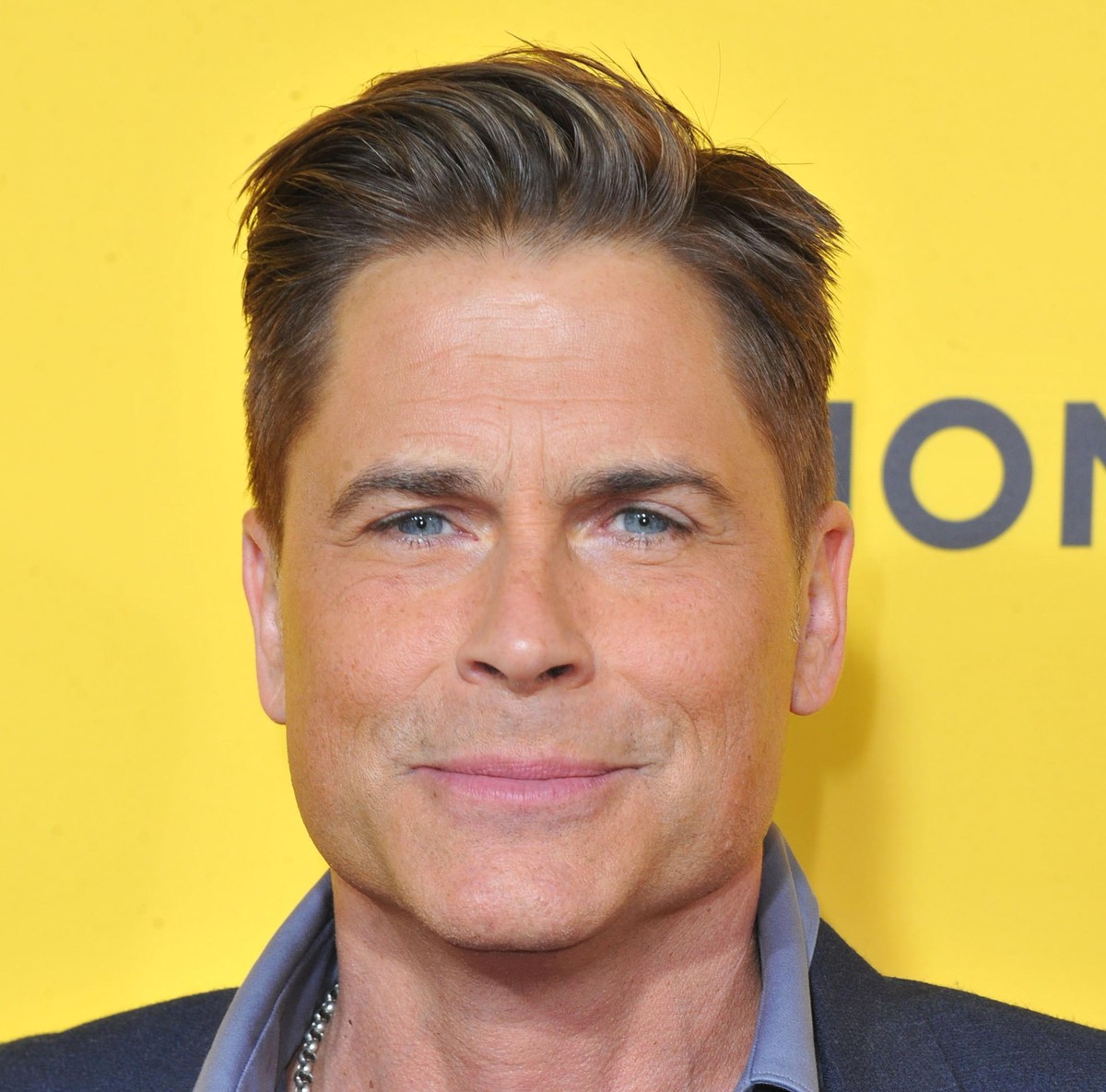 Rob Lowe Rotten Tomatoes