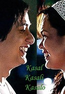 Kasal, kasali, kasalo poster image